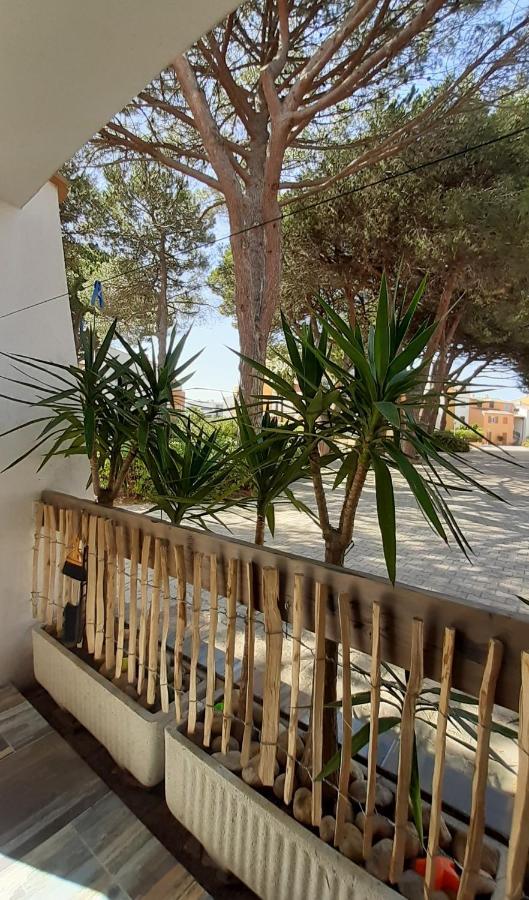 T2-3 Cabine Les Yuccas 200 M Plage Du Boucanet Rive Droite Grau Du Roi Ideal 2-4 Pers Le Grau-du-Roi Dış mekan fotoğraf
